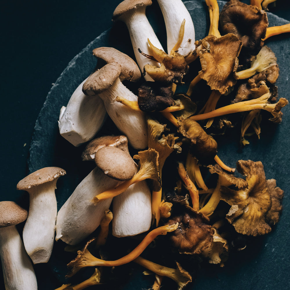 11 Proven Benefits Of Medicinal Mushrooms Switch Nutrition